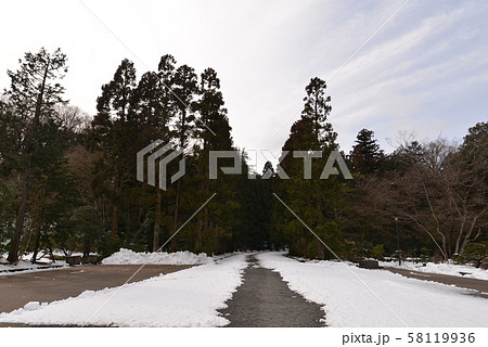 積雪の武蔵陵墓地 58119936