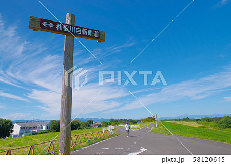 利根川サイクリングロード 58120645