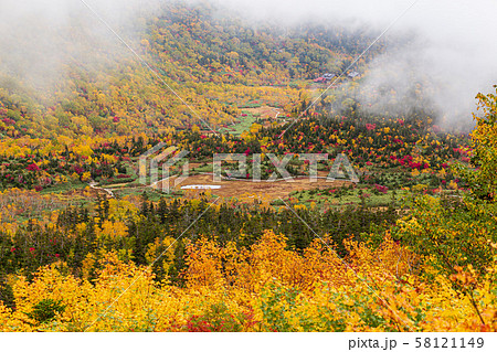 長野・紅葉の栂池自然園 長野・紅葉の栂池自然園 58121149