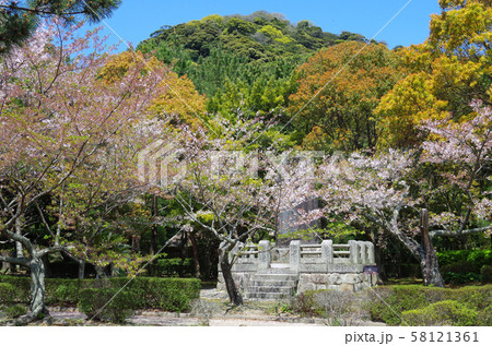 萩城址指月公園の景色 萩城址指月公園の景色 58121361