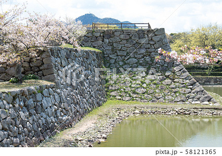 萩城址の石垣と桜 萩城址の石垣と桜 58121365