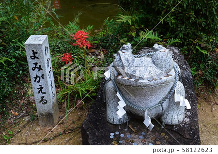 カエルの彫刻 カエルの彫刻 58122623