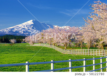 秋田県・由利本荘市 鳥海山と桜の風景 秋田県・由利本荘市 鳥海山と桜の風景 58122780