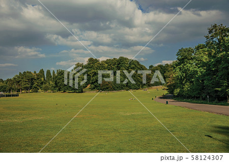 People on lawn with trees in the Laeken Park at Brussels People on lawn with trees in the Laeken Park at Brussels 58124307