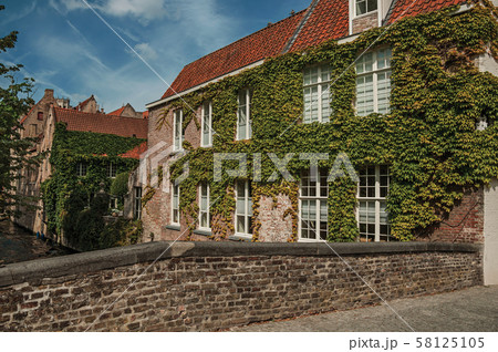 Bridge and brick buildings with creeper on canal of Bruges 58125105