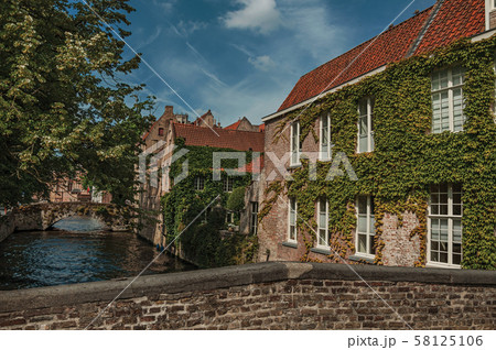 Bridge and brick buildings with creeper on canal of Bruges 58125106