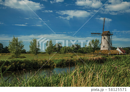 Old windmill next to canal with bushes and grove near Damme 58125571