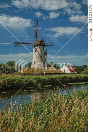 Old windmill next to canal with bushes and grove near Damme 58125576