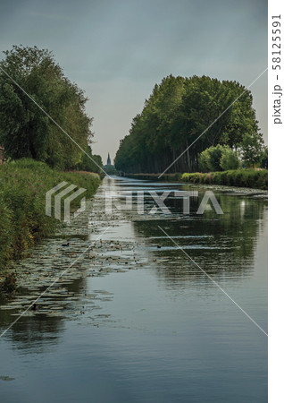 Canal with bushes and grove alongside near Damme 58125591