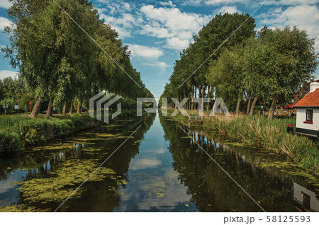 Bushes and grove along canal with sky reflected on water in Damme Bushes and grove along canal with sky reflected on water in Damme 58125593