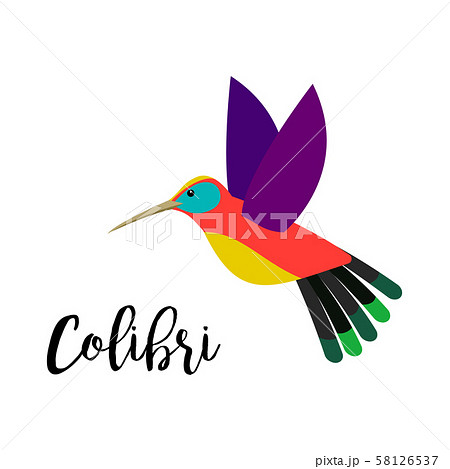 Colibri bird vector element with inscription 58126537