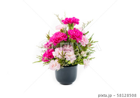Pink carnation flowers in black vase Pink carnation flowers in black vase 58128508