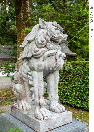 拝殿の狛犬 熊野本宮大社 拝殿の狛犬 熊野本宮大社 58128566