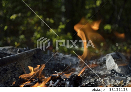 Bonfire, coal and stones in the forest. 58131138