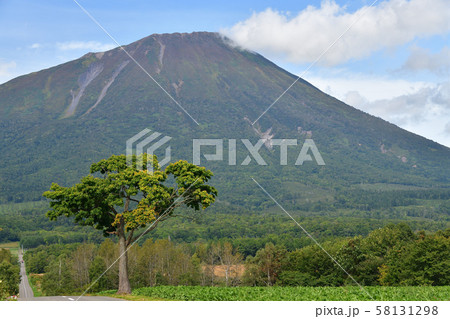 北海道真狩村で中秋の羊蹄山（蝦夷富士）の風景を撮影 58131298
