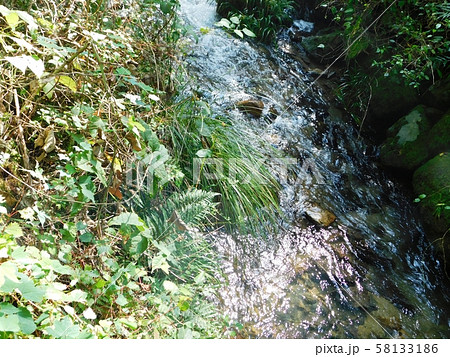 重源の郷を流れる清流 58133186