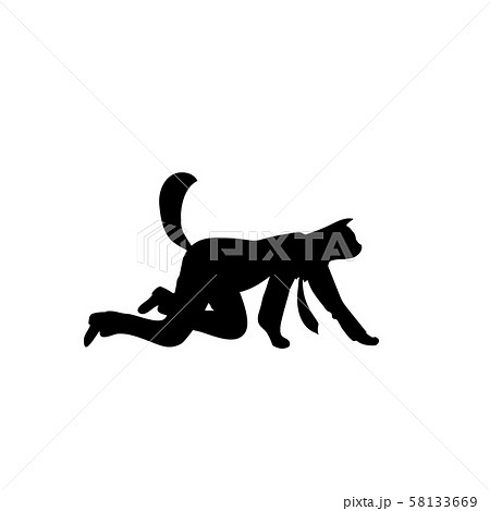 Silhouette cat business. Isolated animal go on all Silhouette cat business. Isolated animal go on all 58133669