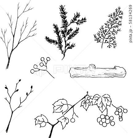 秋冬の枝と木の実 素材 モノクロ のイラスト素材