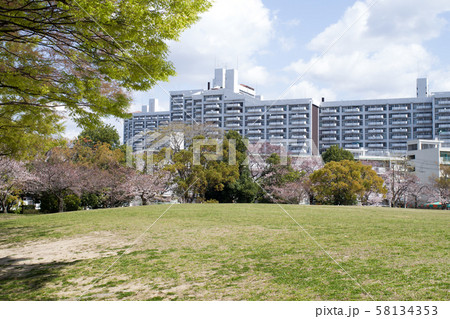 広島市の中央公園と高層建物 広島市の中央公園と高層建物 58134353