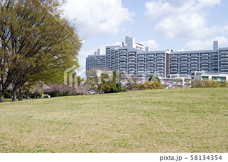 広島市の中央公園と高層建物 58134354
