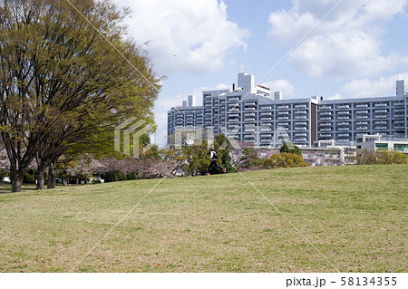 広島市の中央公園と高層建物 58134355