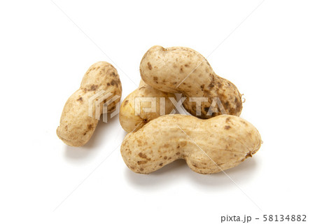 生落花生 生落花生 58134882