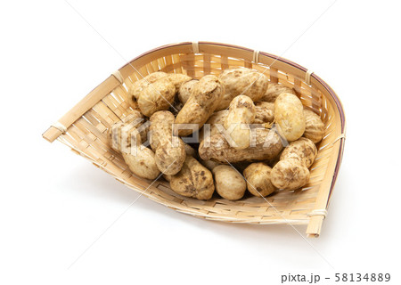 生落花生 58134889