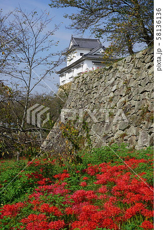 岡山県津山市にあるさくら名所100選のひとつ 鶴山公園 津山城趾 秋の写真素材