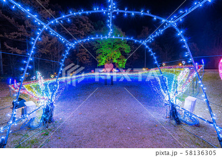 国営アルプスあづみの公園　イルミネーション　冬　大町・松川地区 58136305