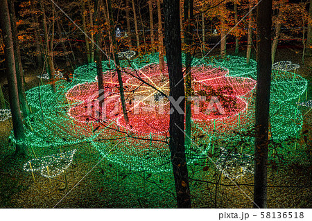 国営アルプスあづみの公園 イルミネーション 冬 大町・松川地区 国営アルプスあづみの公園 イルミネーション 冬 大町・松川地区 58136518