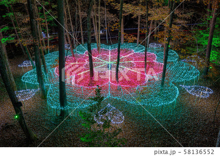 国営アルプスあづみの公園 イルミネーション 冬 大町・松川地区 国営アルプスあづみの公園 イルミネーション 冬 大町・松川地区 58136552