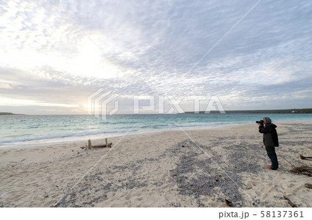 ニューカレドニア ロイヤルティ諸島 リフー島 シャンパーニュビーチの女性写真家 ニューカレドニア ロイヤルティ諸島 リフー島 シャンパーニュビーチの女性写真家 58137361