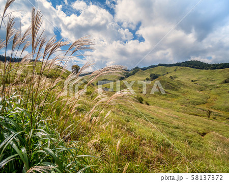秋の砥峰高原 58137372
