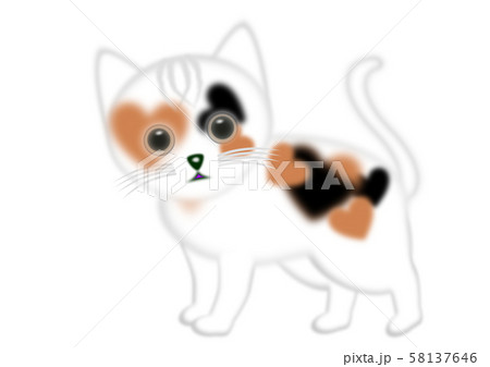 Fluffy Cat Pansy 三毛猫の立ち姿のイラスト素材