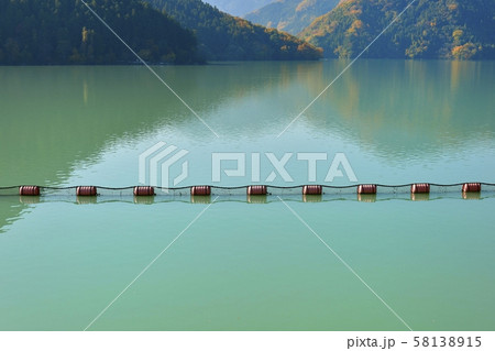 神流湖の緑の湖面と流木ネットに紅葉の山々 58138915