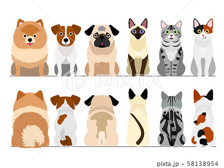 犬と猫のボーダー　小型犬と猫　全身　前後セット 58138954