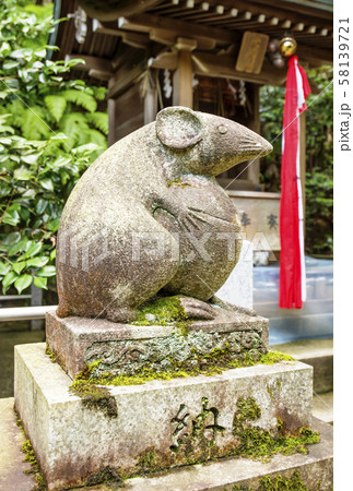 京都大豊神社　子年　2020年賀　年賀状素材　狛鼠の名所　 58139721