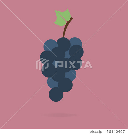 Grapes, vine, fruit, vector icon slim design Grapes, vine, fruit, vector icon slim design 58140407