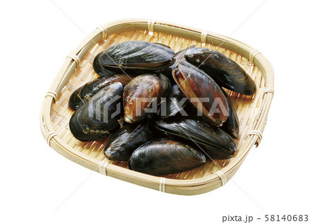 ムール貝01（パス付） 58140683
