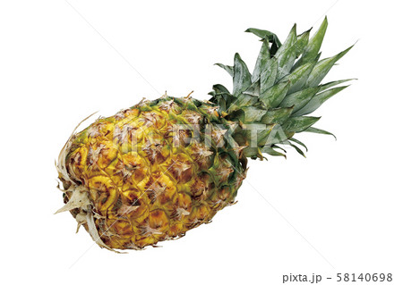 パイナップル03(パス付) パイナップル03(パス付) 58140698