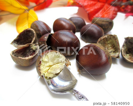 茹でた栗をスプーンで食べる 茹でた栗をスプーンで食べる 58140950