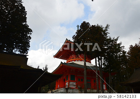 壇上伽藍の「根本大塔」(高野山 金剛峰寺/和歌山県伊都郡高野町高野山) 壇上伽藍の「根本大塔」(高野山 金剛峰寺/和歌山県伊都郡高野町高野山) 58142133