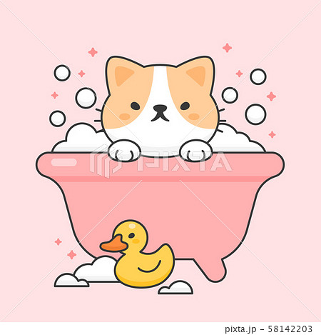 Cute cat in a bathtub and duck rubber 58142203
