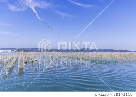 松島湾の海苔養殖 松島湾の海苔養殖 58143110