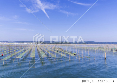 松島湾の海苔養殖 58143113