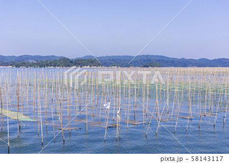 松島湾の海苔養殖 58143117