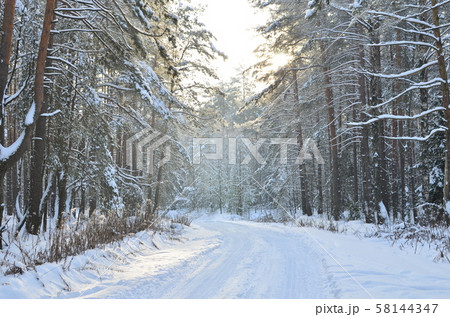 Awesome winter landscape. A snow-covered path among the trees in the wild forest. Awesome winter landscape. A snow-covered path among the trees in the wild forest. 58144347