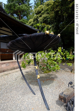 尾山神社（金のかえる） 58145199