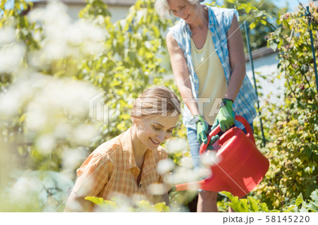 Senior and young woman gardening together Senior and young woman gardening together 58145220