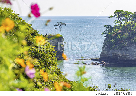宮城 松島湾浦戸諸島の桂島 58146889